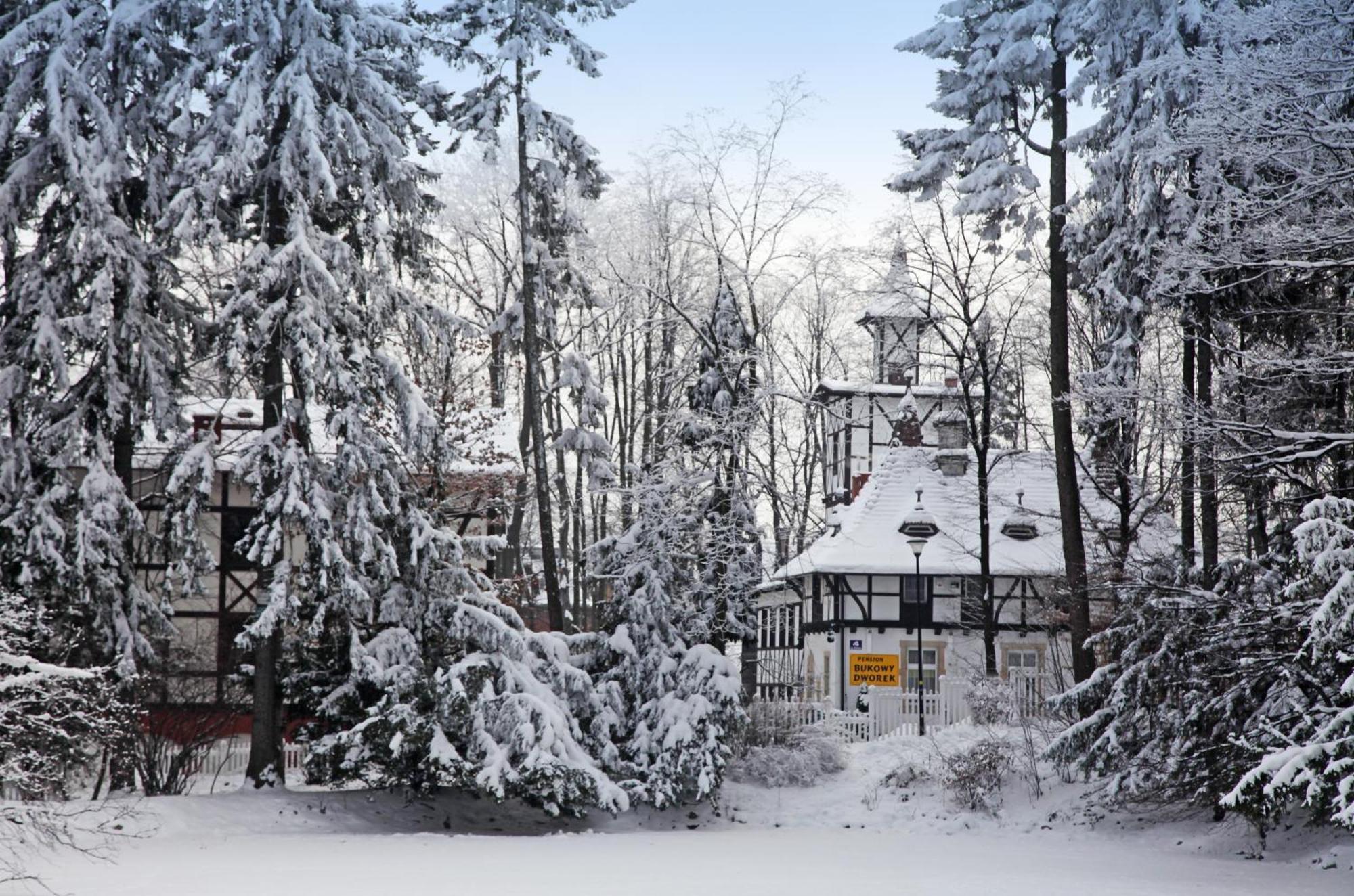 Bukowy Dworek Szczawno-Zdroj Exterior photo